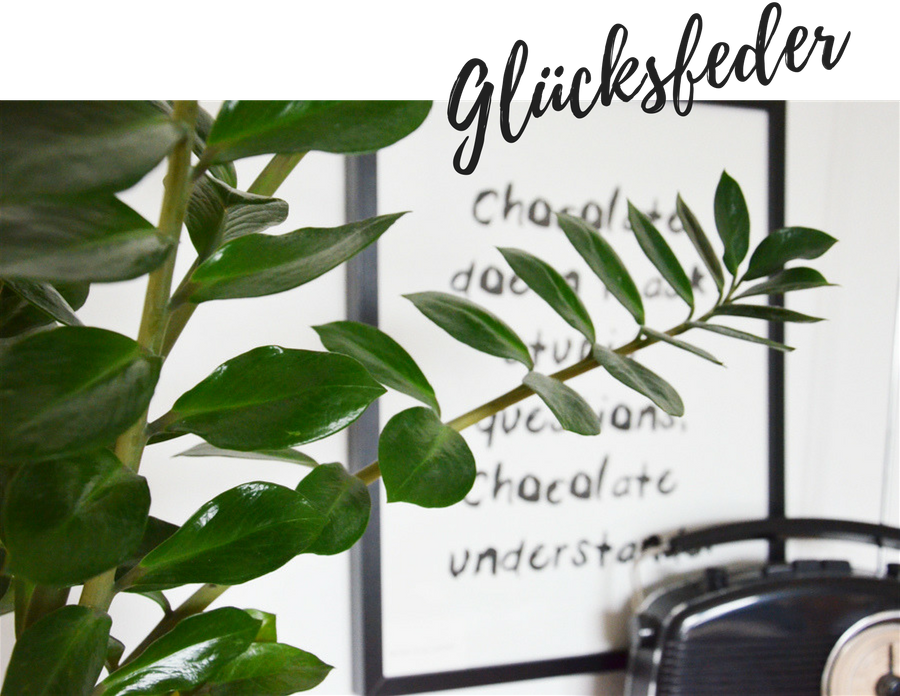 Greenery fr Anfnger: Meine aktuellen Lieblingspflanzen