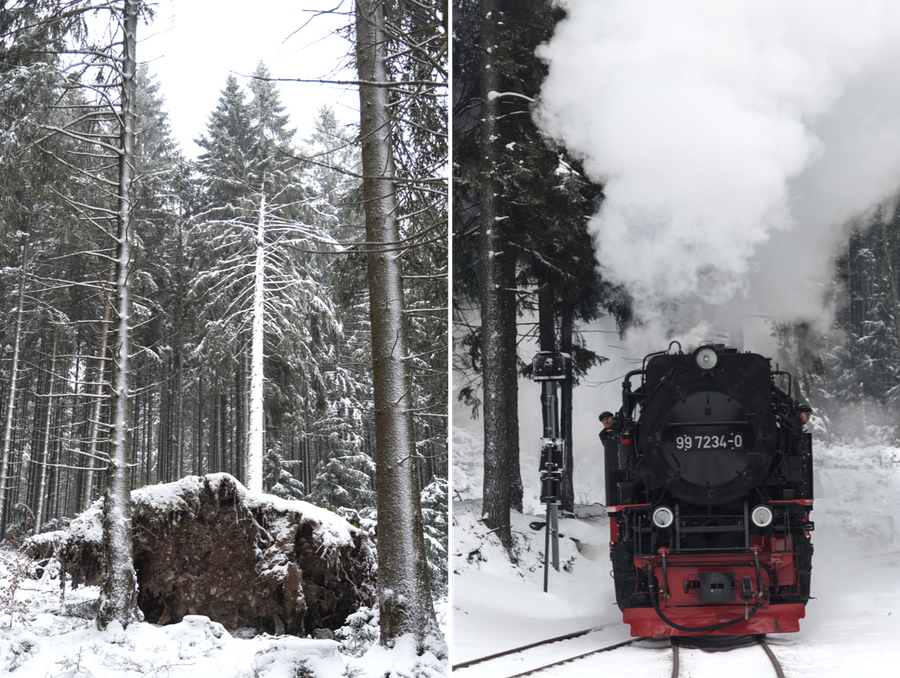 Brockenbahn Harz im Schnee