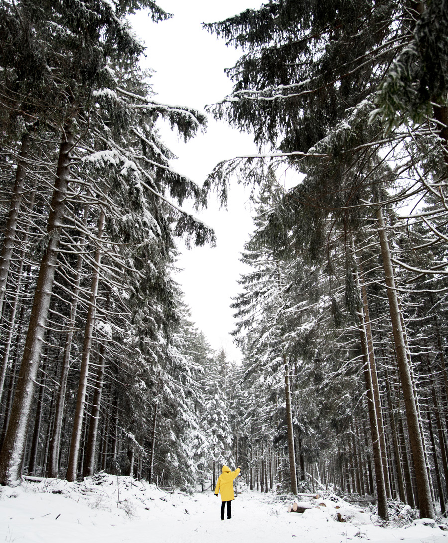 Winter im Harz Brocken