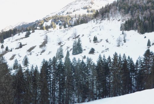 Hochgrat im Allgäu