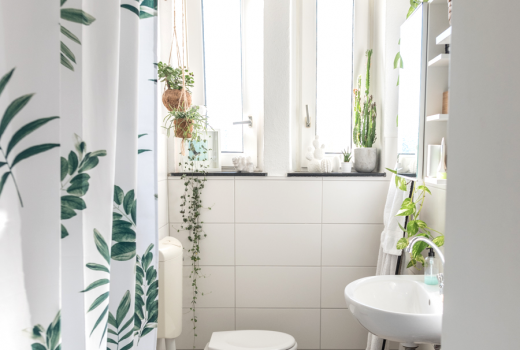 Die besten Grünpflanzen fürs Badezimmer