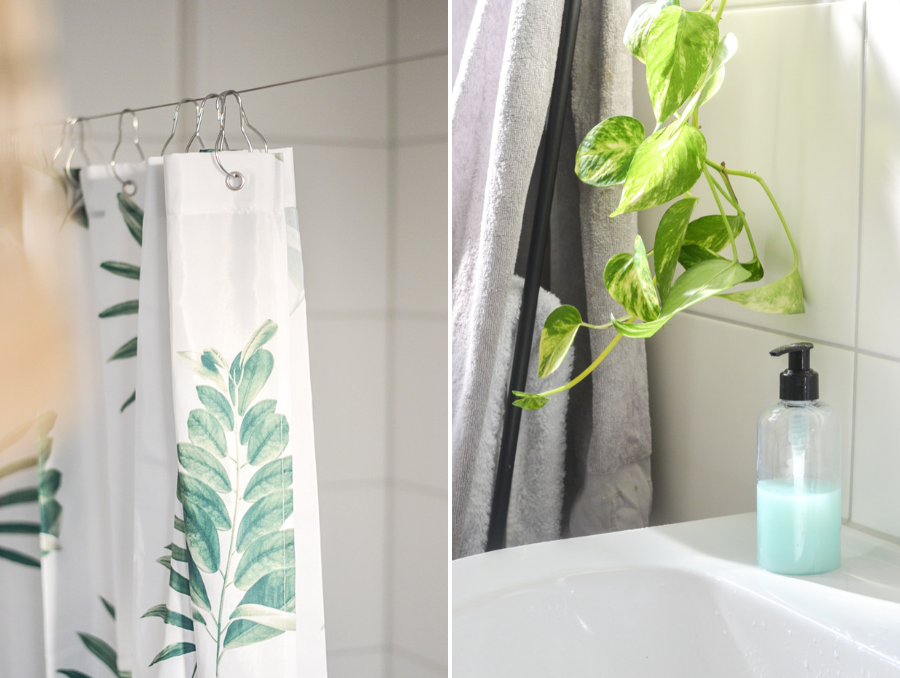 Pflanzen fürs Badezimmer