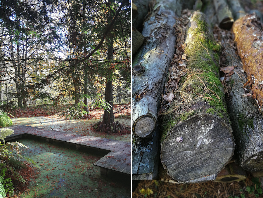 Botanischer Garten der Ruhr-Universität RUB Bochum