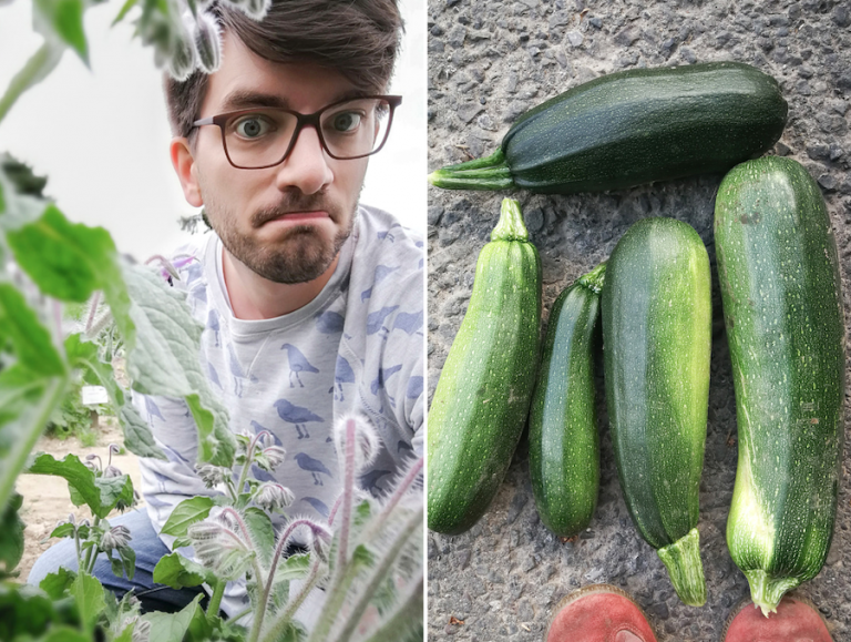 ruhrwohl.de Mein Garten & ich Fazit des Mietgartens in Bochum