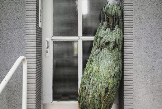 Weihnachtsbaum vor Tür