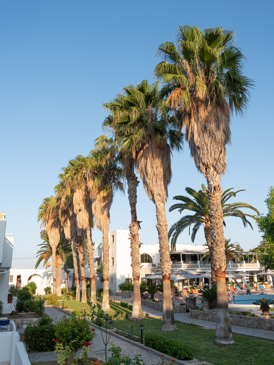 Urlaub auf Kos in Griechenland: Hoteltipp Palladium in Marmari