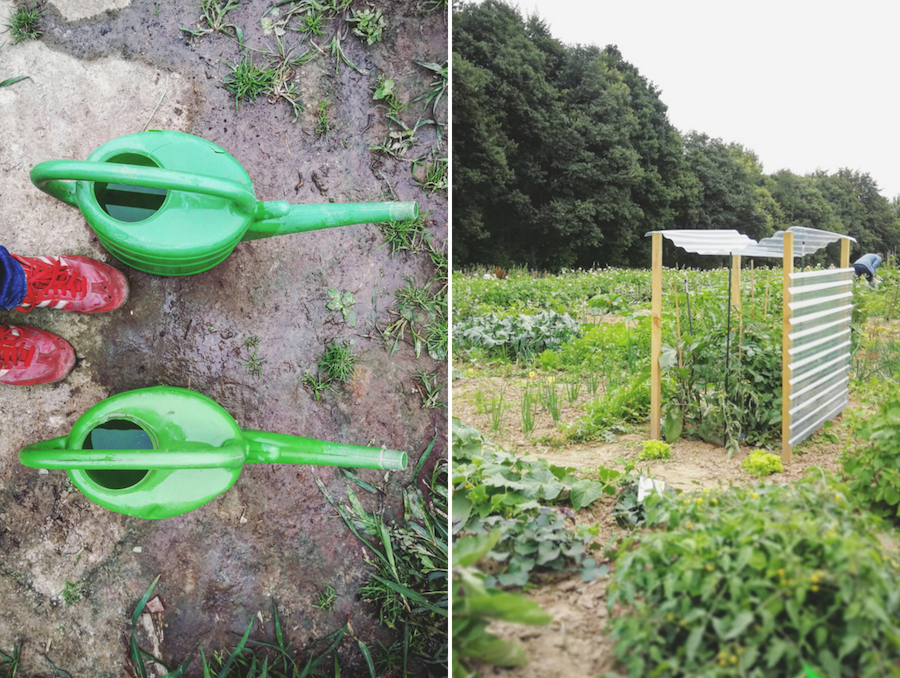 Nützliche Helfer für den Garten Gemüsegarten Basics Gartengeräte