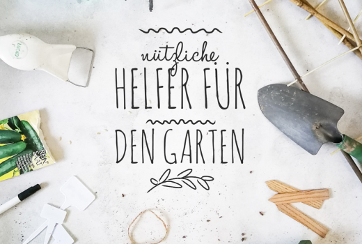 Gemüsegarten - Nützliche Helfer für den Garten