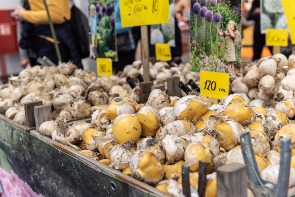 Ausflugstipp für NRW: Die Messe Mode Heim Handwerk in Essen besuchen