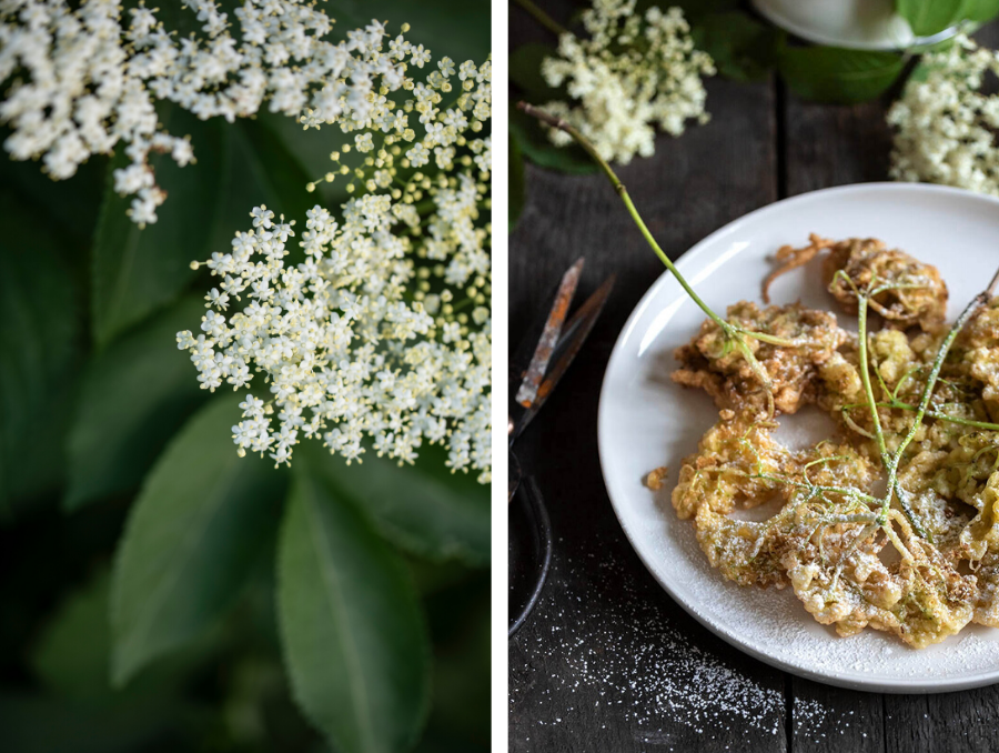 Holunderblüten frittieren: Gebackene Holunderblüten 