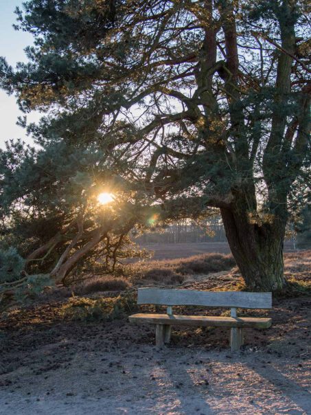 Westruper Heide Haltern am See