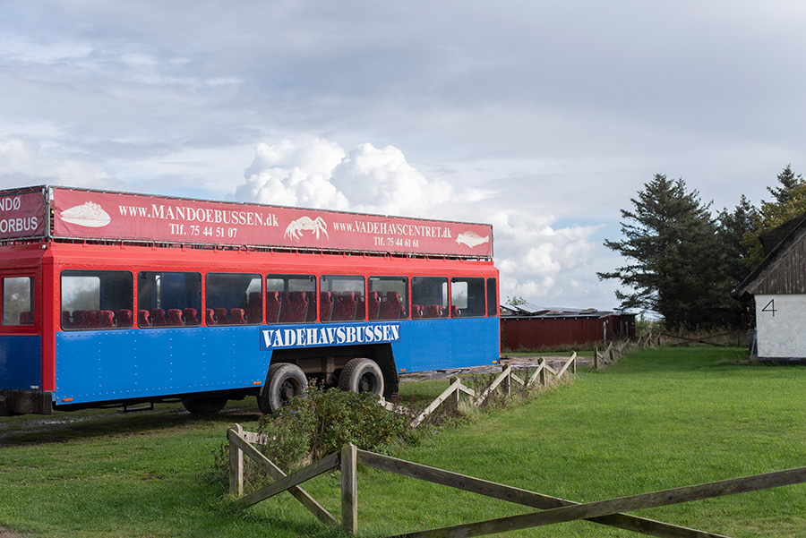 Mandö Dänemark Tagesausflug