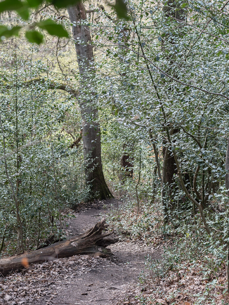 Wandern Witten Bergbauwanderweg Muttental