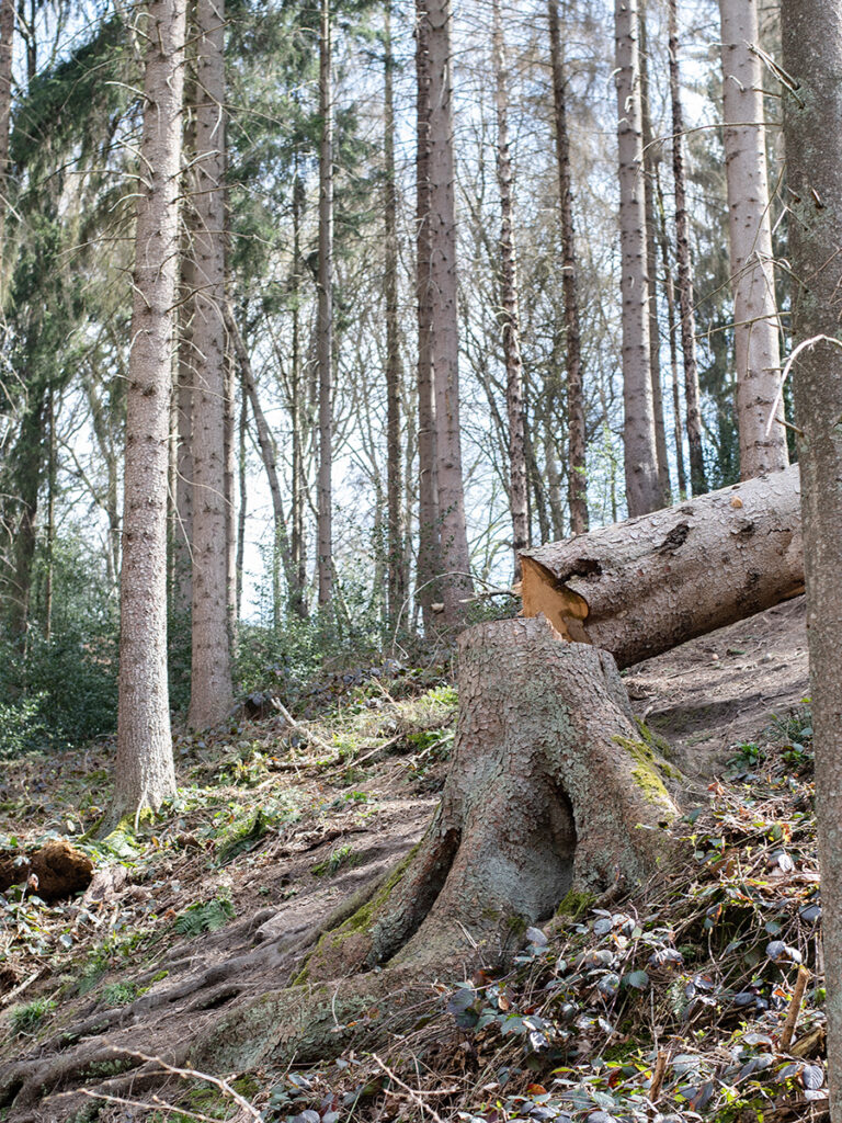 Bergbauwanderweg im Muttental 