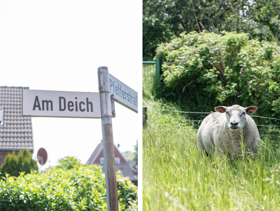 Ditzum: Malerisches Örtchen an der Ems in Ostfriesland kurz vorm Meer