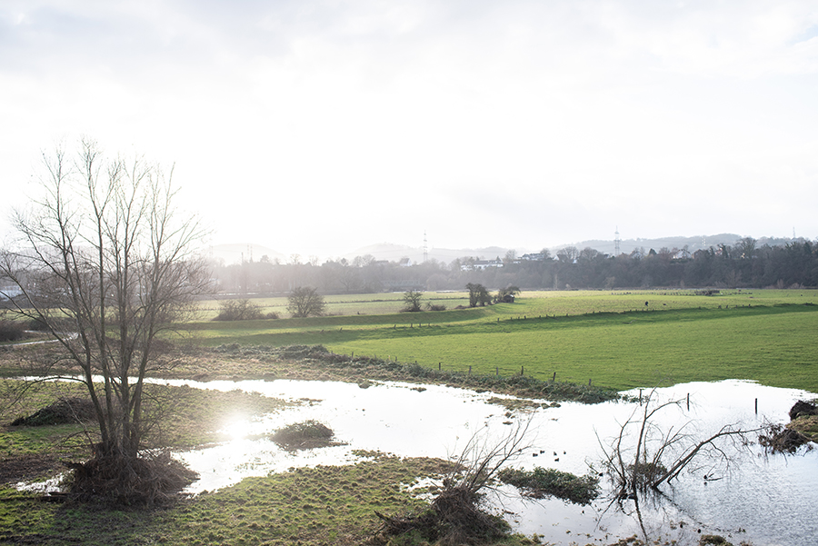 Wandern Hattinger Ruhrtal 