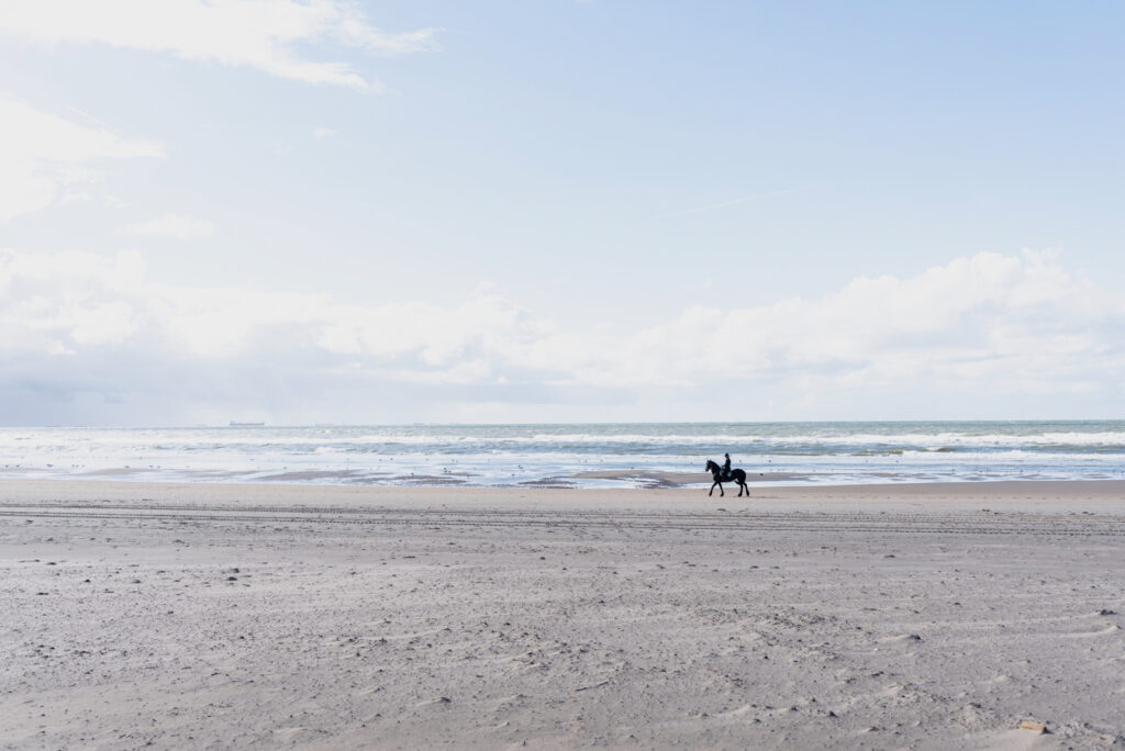 Reiter am Strand in Katwijk aan Zee