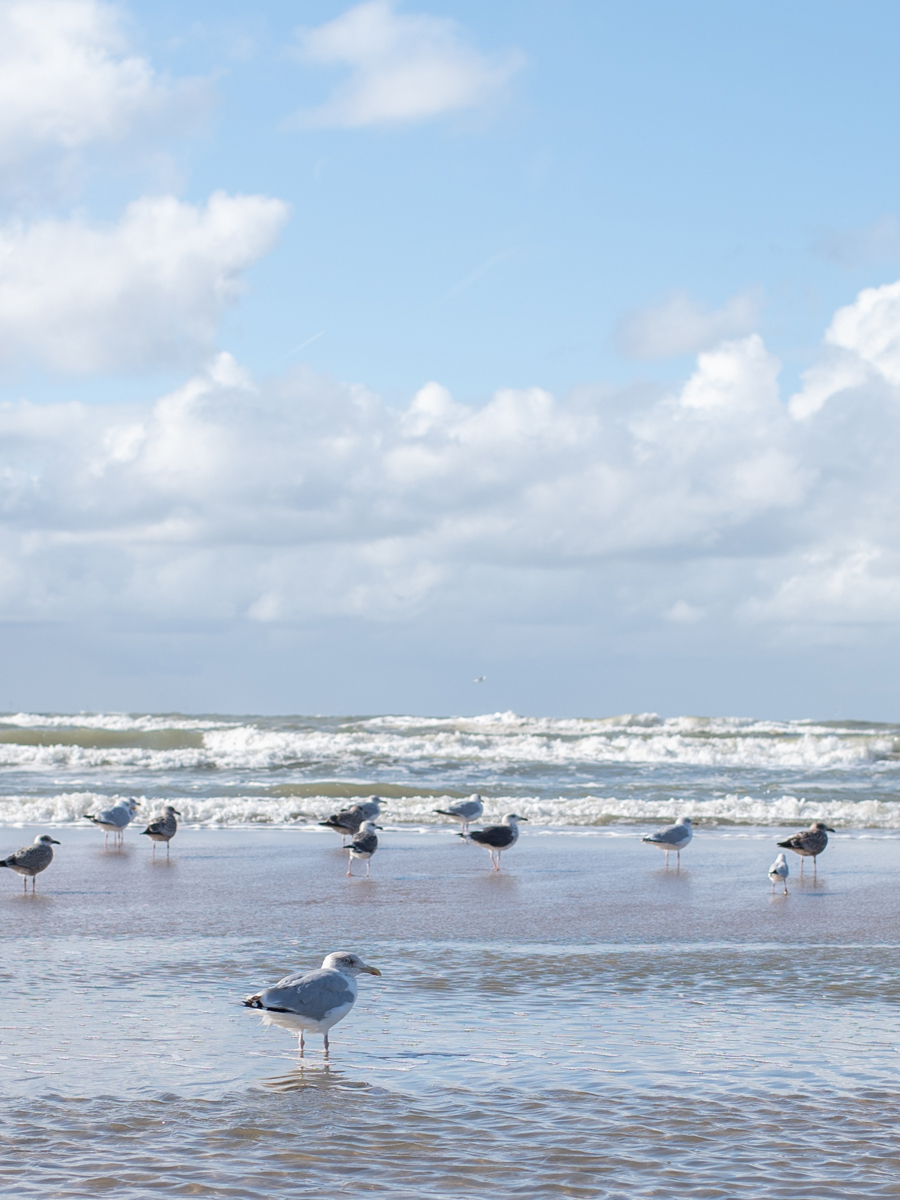 Strand in  Katwijk aan Zee