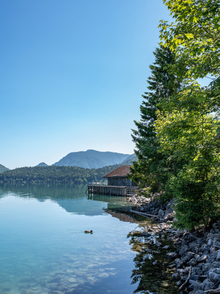 Walchensee Alpen