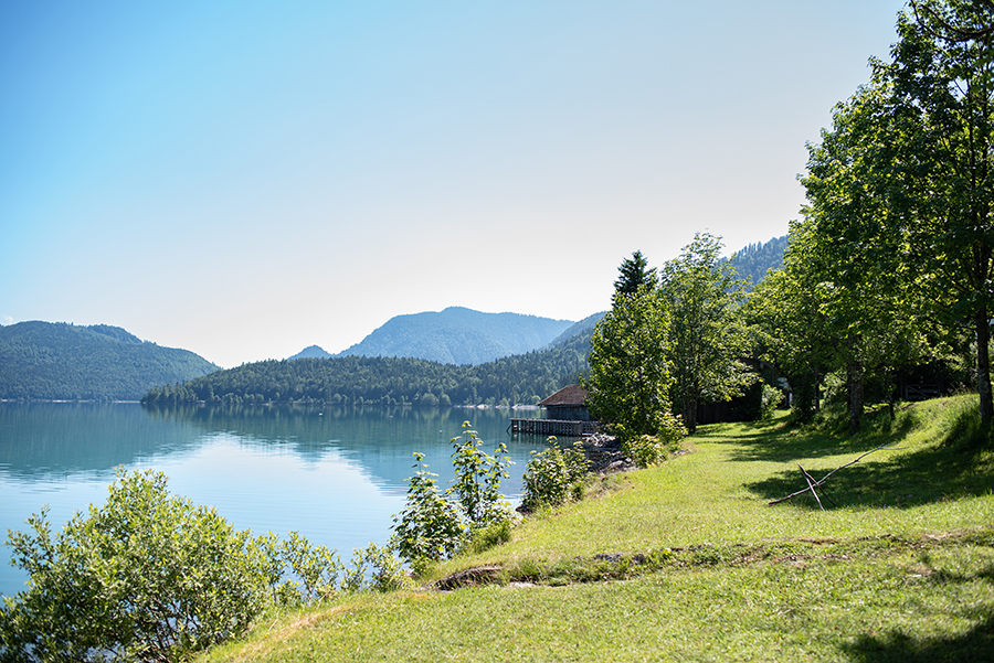 Walchensee Alpen