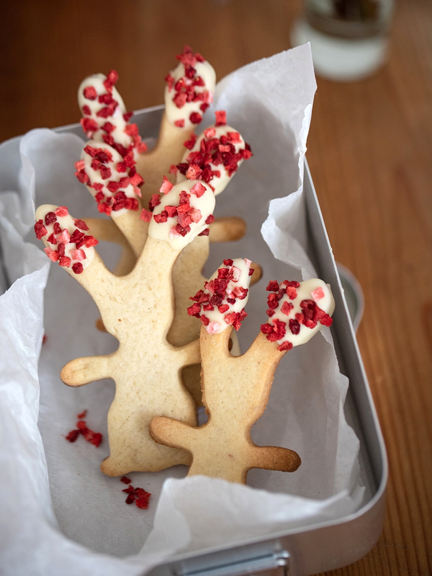 Osterhasenkekse backen: Einfaches und schnelles Rezept für süße Hasenkekse