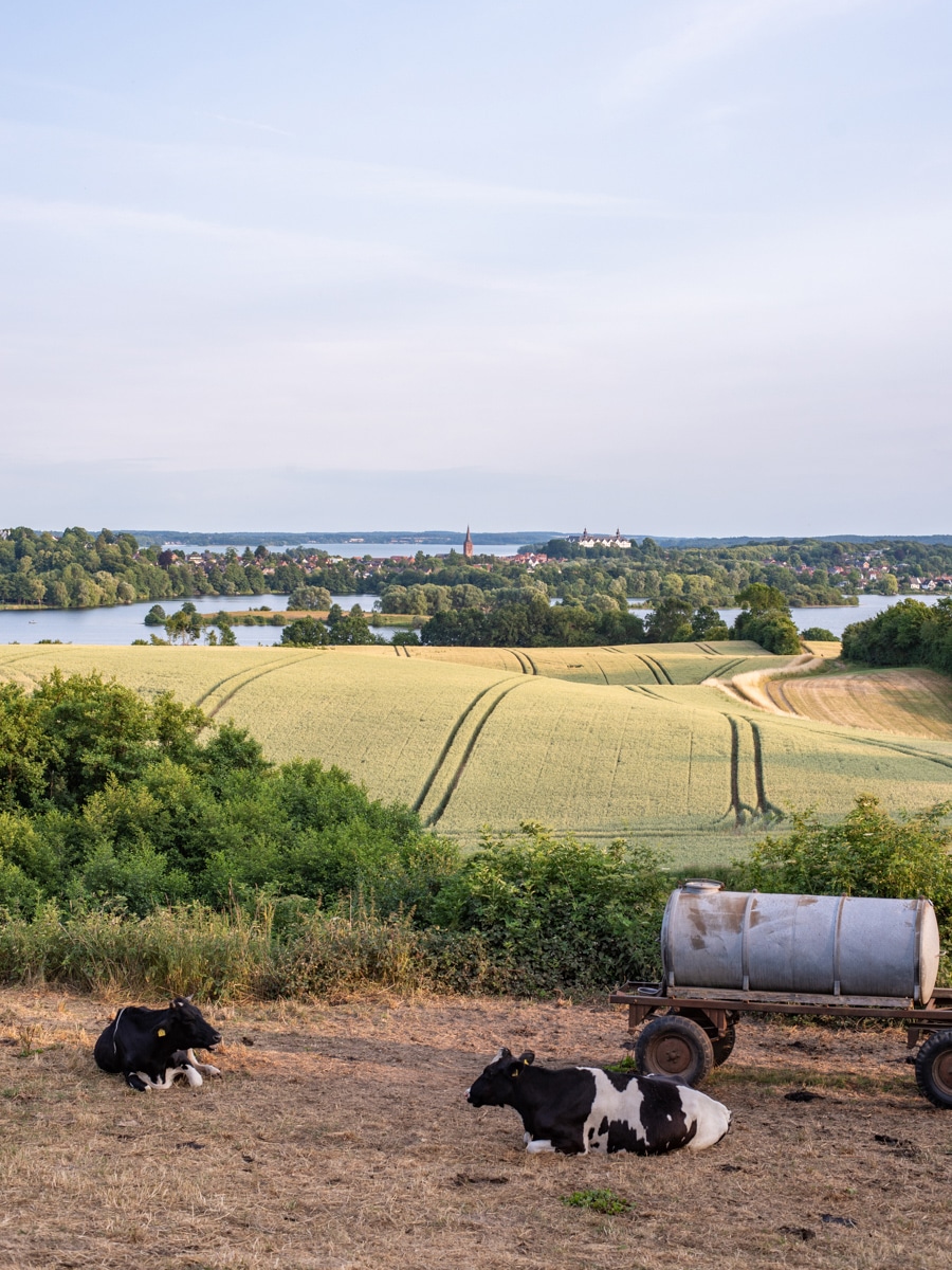 Blick auf Seenplatte der Holsteinischen Schweiz