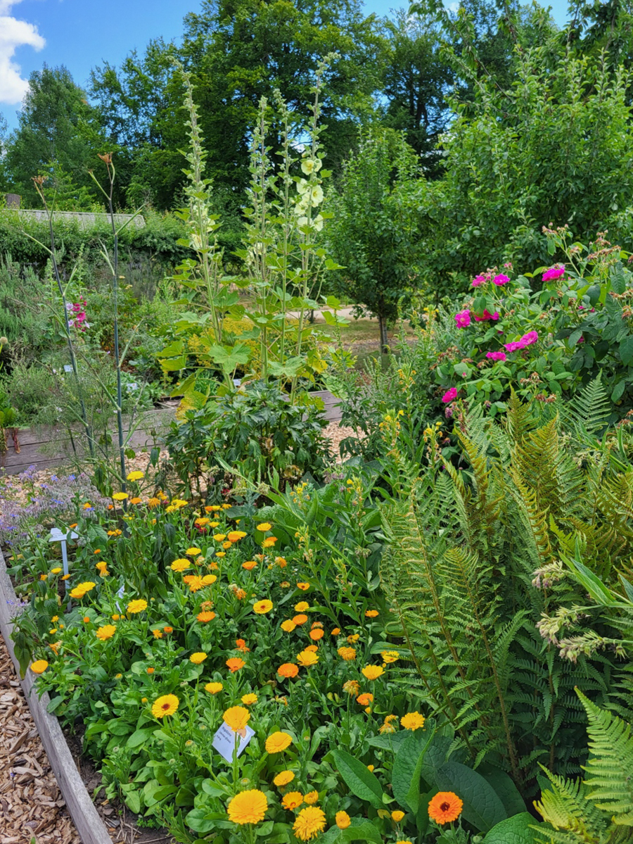 Garten des Eutiner Schlosses 