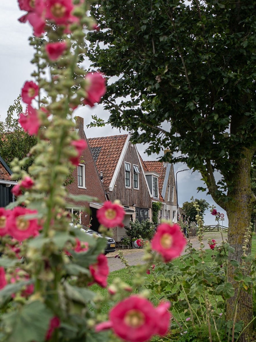 Historische Altstadt von Makkum mit malerischen Straßen und historischen Gebäuden