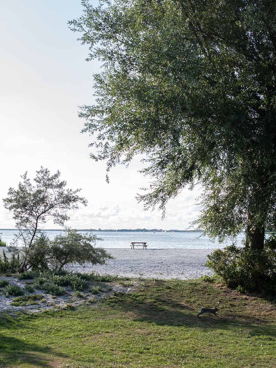 Genieße den Sandstrand von Makkum am Ufer des IJsselmeers in den Niederlanden, perfekt für entspannte Tage am Wasser