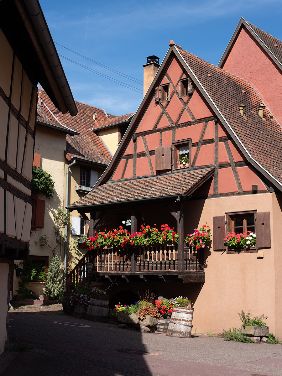 Traditionelles Fachwerkhaus mit Balkon voller roter Blumen in Eguisheim