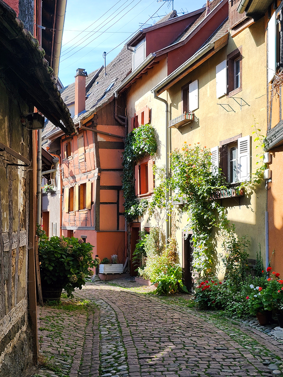 Enge Gasse in Eguisheim mit Fachwerkhäusern und bunten Fassaden im Sonnenschein