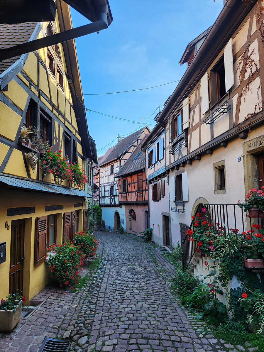 Enge Altstadtgasse in Eguisheim mit gelbem Fachwerkhaus und Blumenschmuck