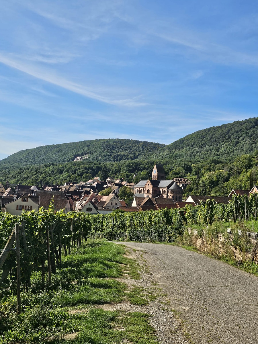 Weinberge mit Blick auf Gueberschwihr und die Dorfkirche