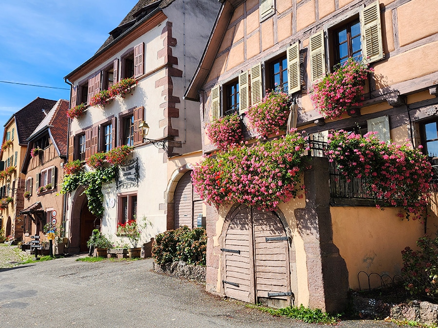 Fachwerkhäuser mit bunten Blumen in Gueberschwihr im Sonnenschein