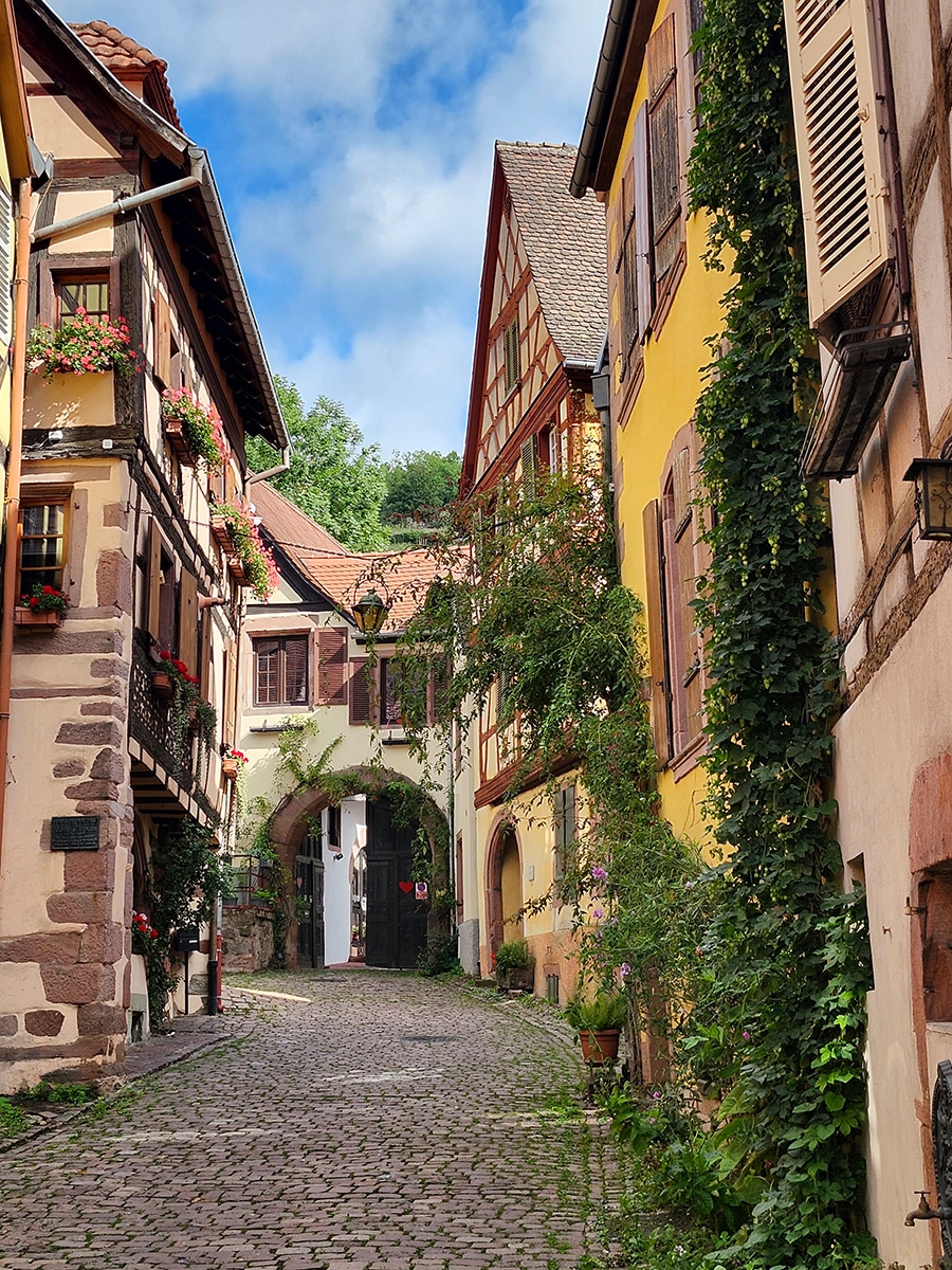 Blick auf die Altstadt von Kaysersberg mit Fachwerkhäusern und Blumen geschmückten Fassaden