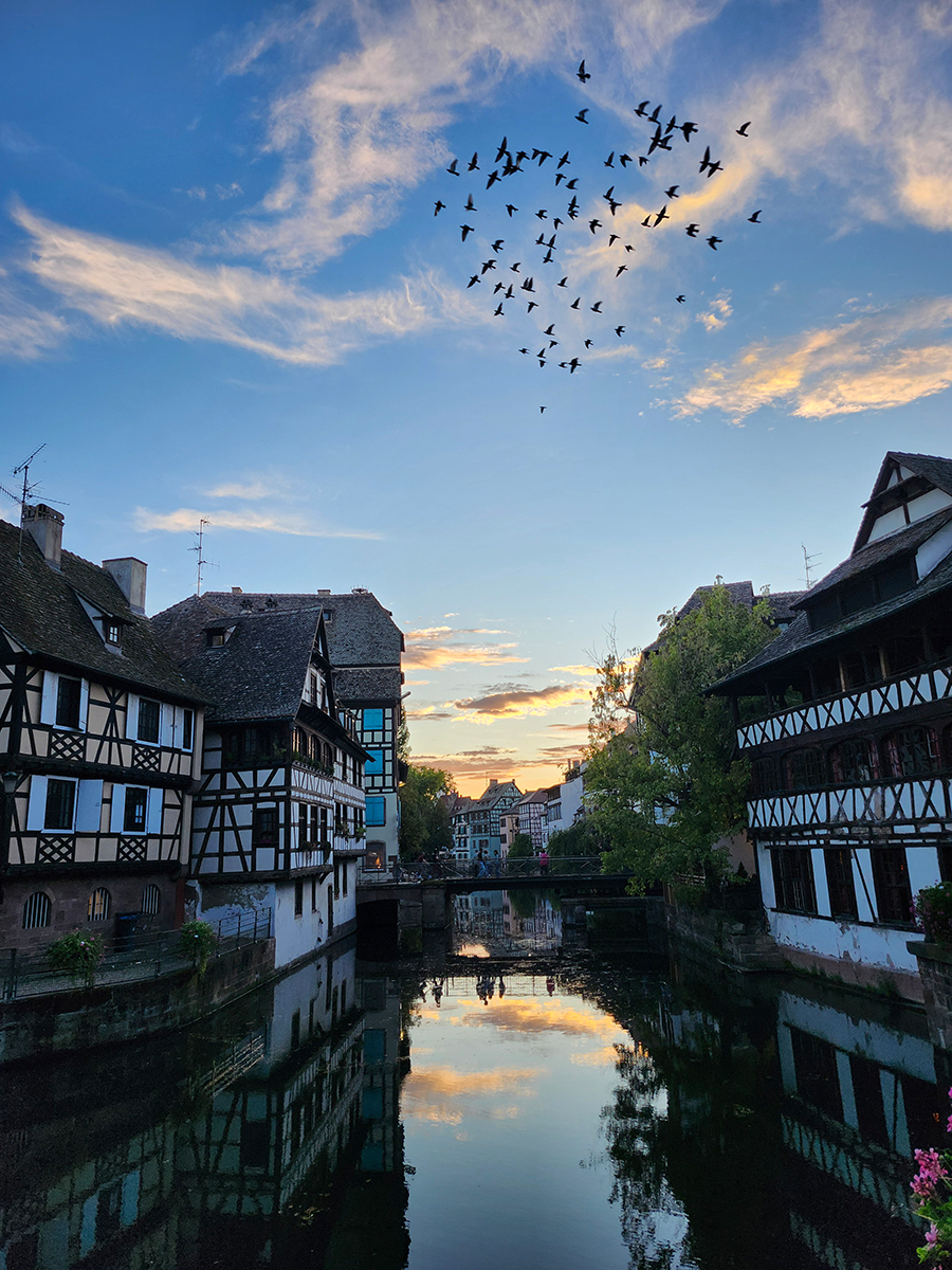 Blick auf Petite France in Straßburg mit Wasser, Fachwerkhäusern und Vogelschwarm am Abendhimmel