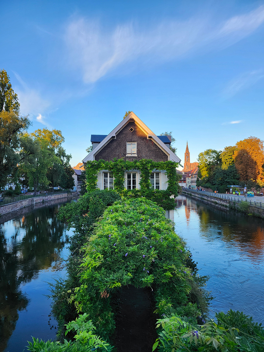 Historisches Haus in Straßburg, überwachsen mit Efeu, am Wasser gelegen