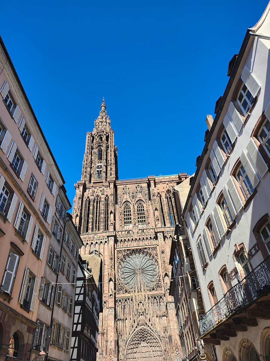 Blick auf die Westfassade des Straßburger Münsters mit Rosettenfenster und Turm