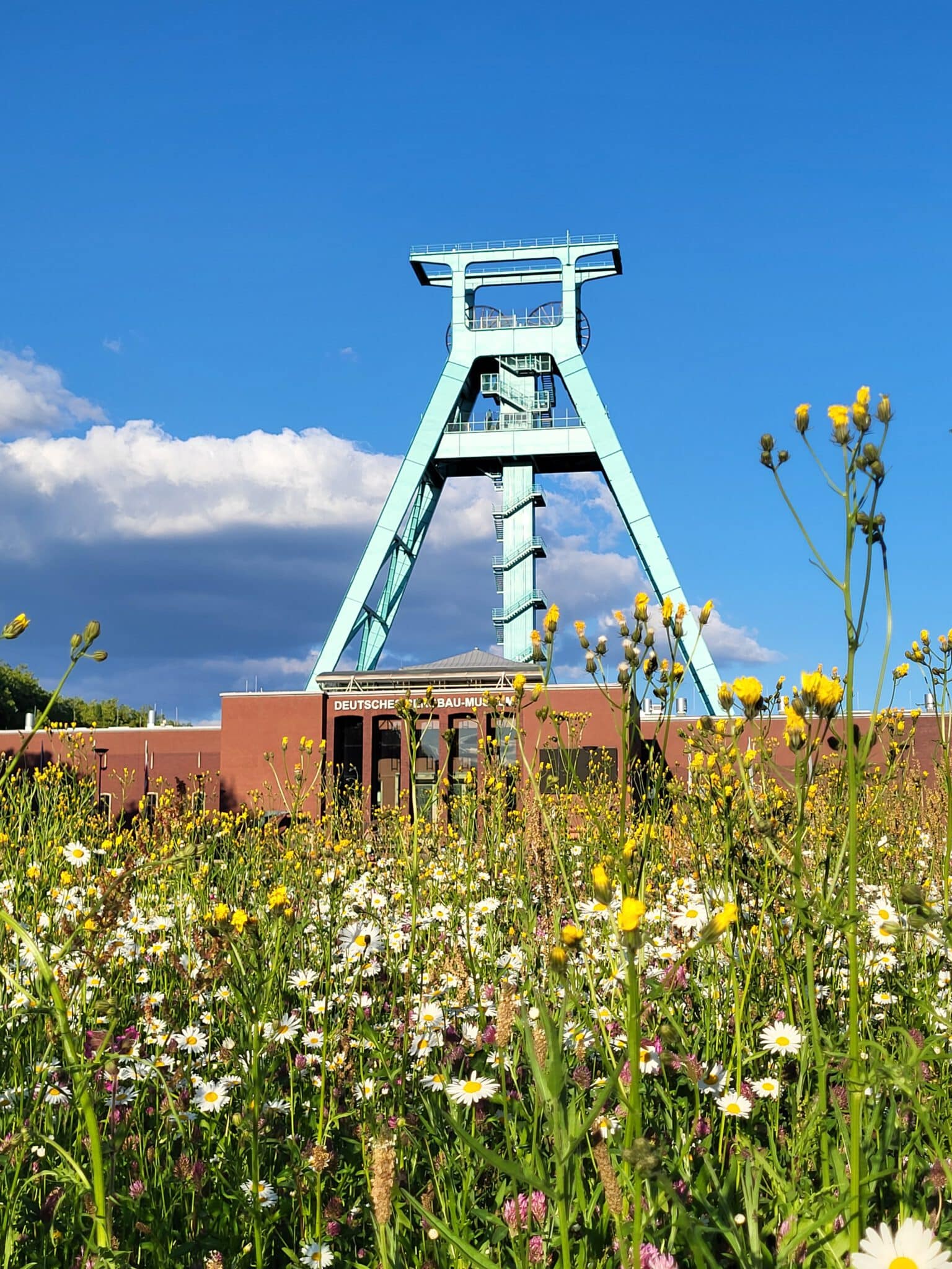 Förderturm im Ruhrgebiet vor blauem Himmel, umgeben von Wildblumen auf einer Wiese