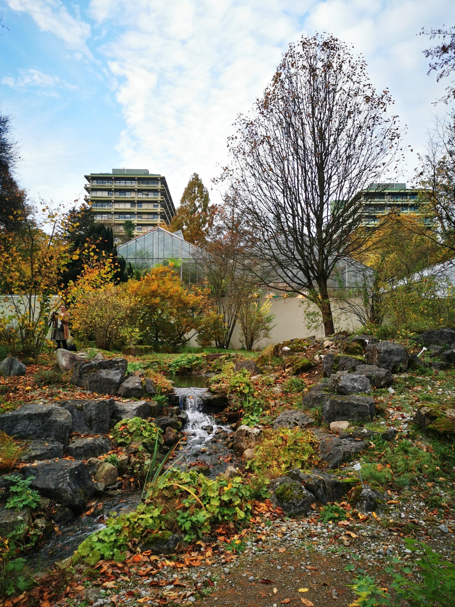 Botanischer Garten der Ruhr-Universität Bochum mit Teich und Universitätsgebäude im Hintergrund