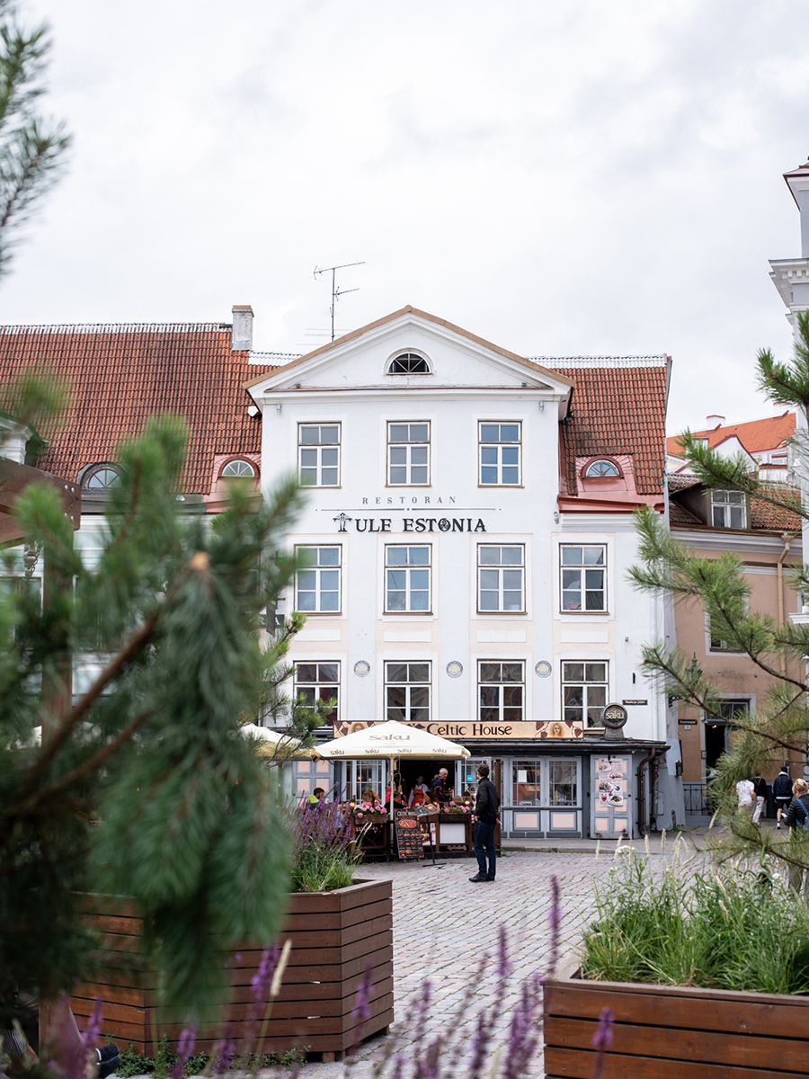 Weißes historisches Gebäude mit Restaurantterrasse in der Altstadt von Tallinn