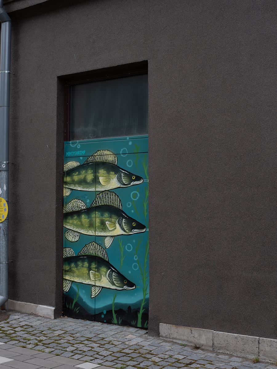 Bemalte Tür mit stilisierten Fischen an einer dunklen Hausfassade in Tallinn