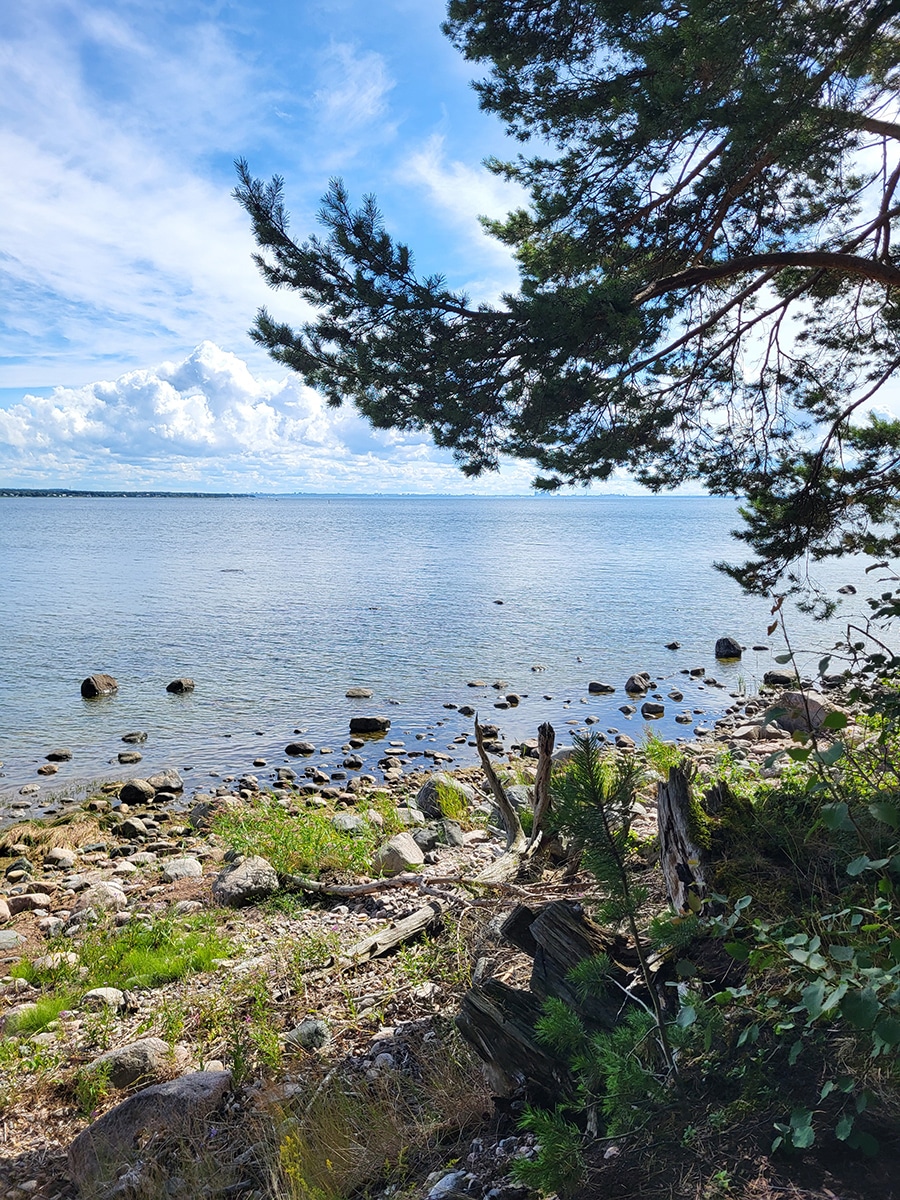 Steinige Küste der Insel Aegna mit Blick auf die Ostsee