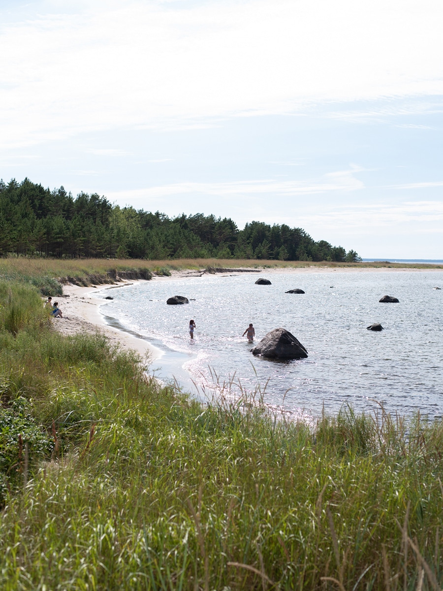 Naturbelassene Küste der Insel Aegna mit großen Steinen im Wasser