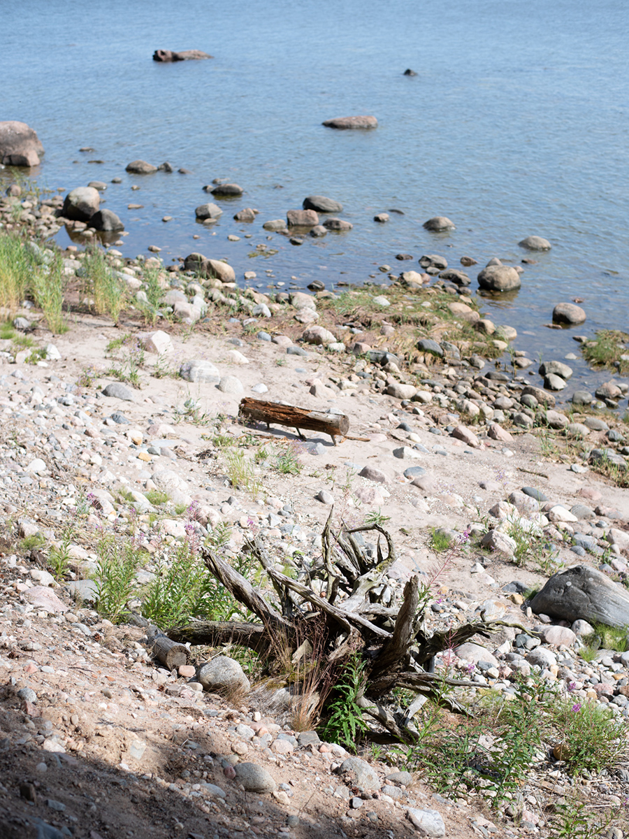 Steiniger Strand auf der Insel Aegna mit Blick auf die Ostsee