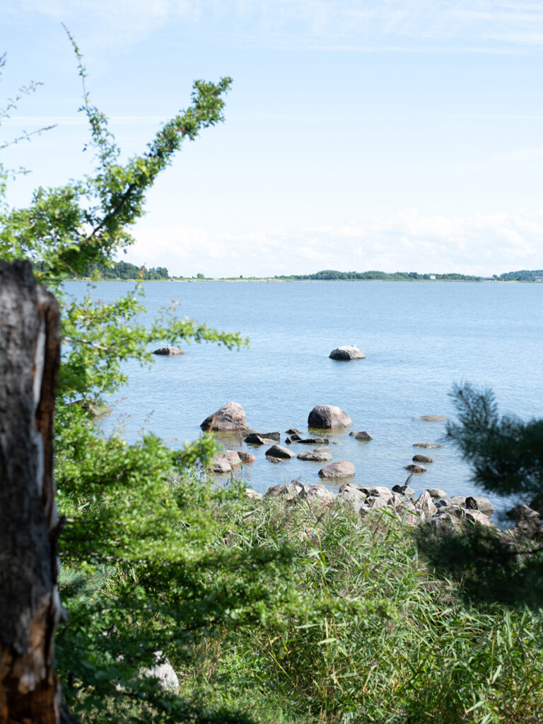 Blick durch Bäume auf die steinige Küste und Ostsee der Insel Aegna