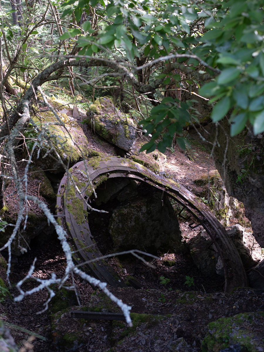 Überwucherter Betonrest einer ehemaligen Militäranlage im Wald auf Aegna