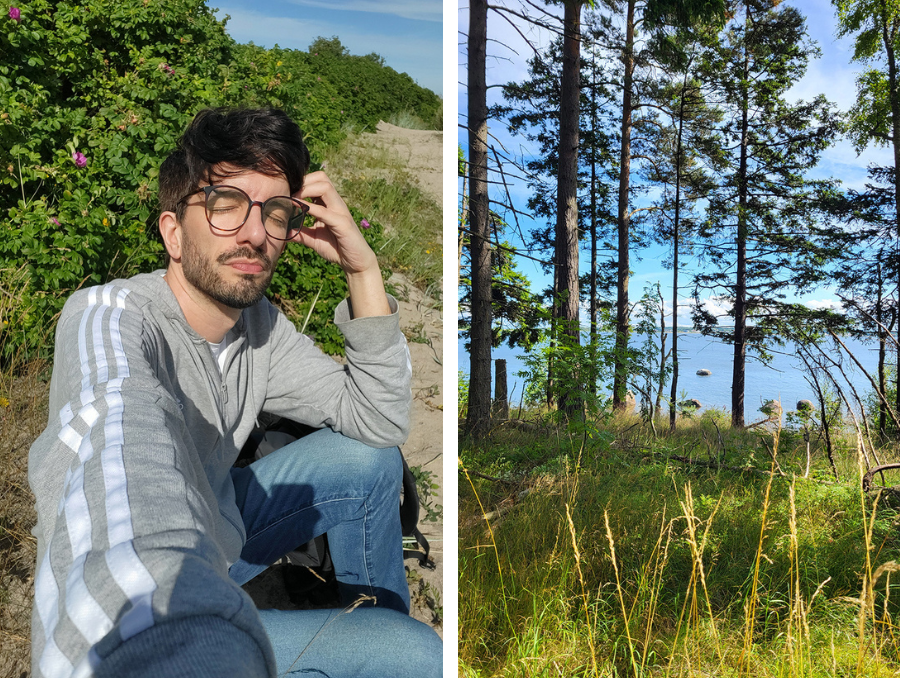 Collage mit einer Person beim Ausflug auf Aegna und hohen Kiefern im Wald
