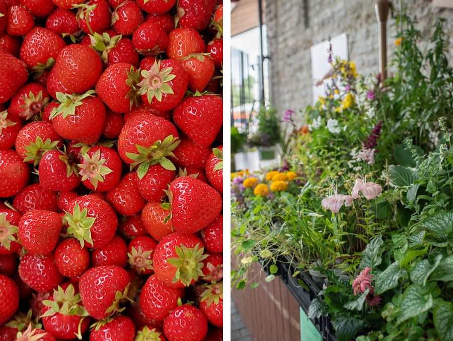 Collage mit frischen Erdbeeren und Blumenständen im Balti Jaama Turg in Tallinn