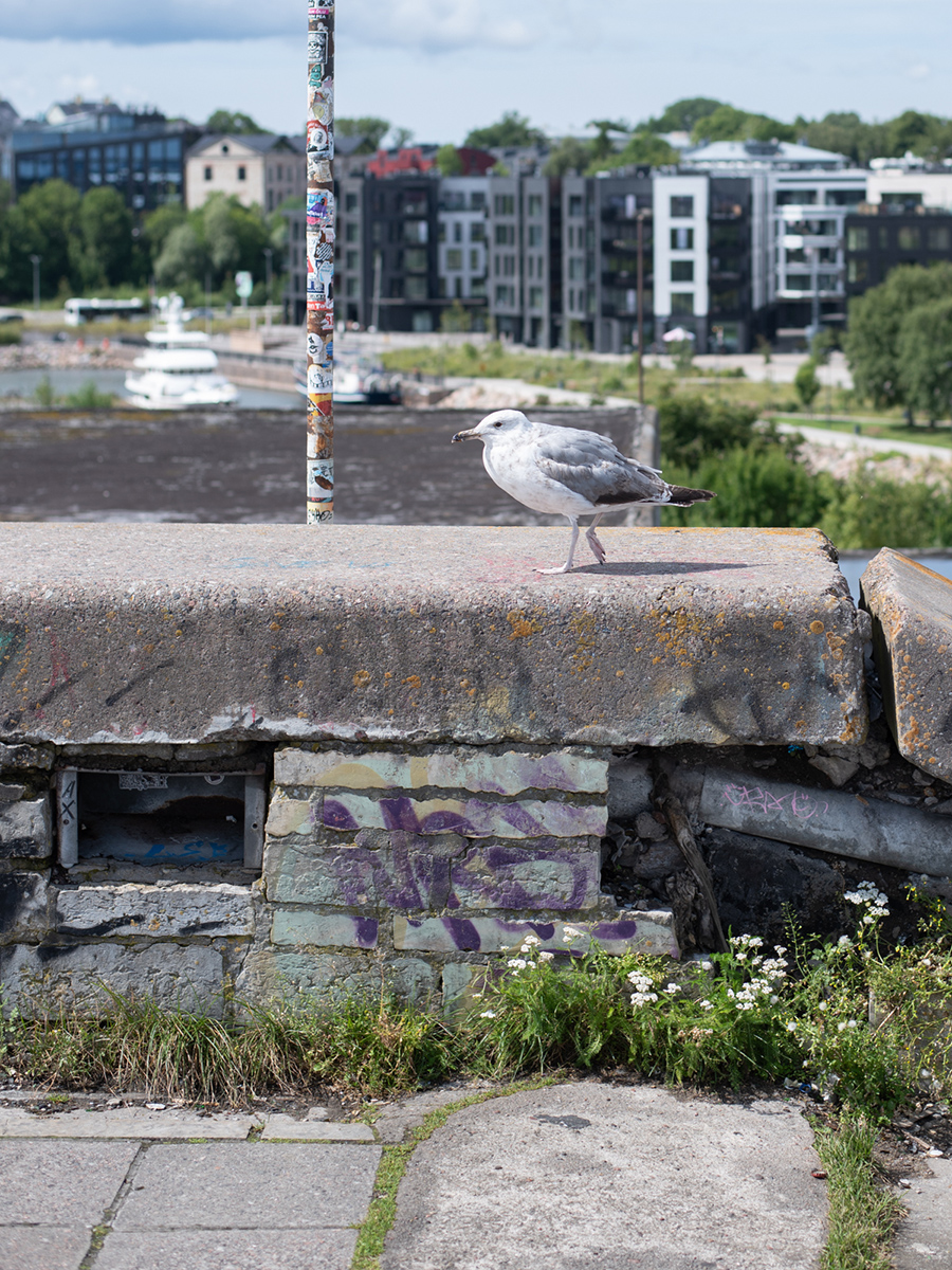 Beschädigte Betonflächen der Linnahall in Tallinn mit modernen Wohnhäusern im Hintergrund